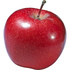 Red Windsor apple